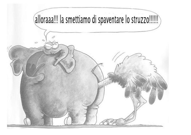 [Immagine: 2014213182558_spaventare lo struzzo.JPG]
